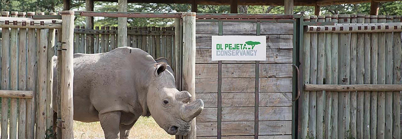 Ol Pejeta Holiday Villas Nanyuki Dış mekan fotoğraf